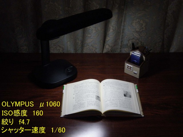 室内照明OLYMPUS2280144.JPG